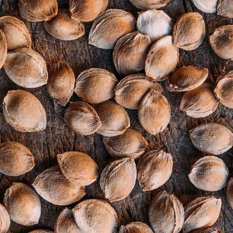 Apricot Seeds