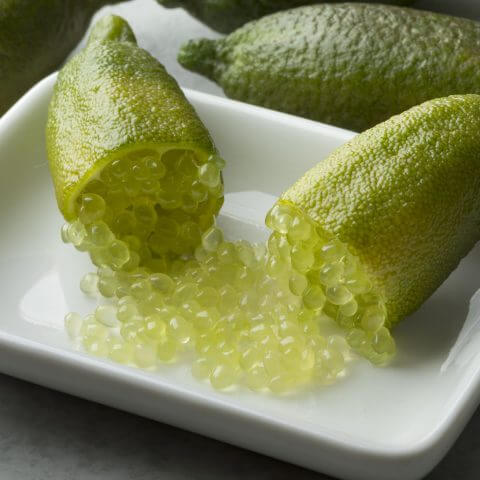 Lime Cavier Fruit